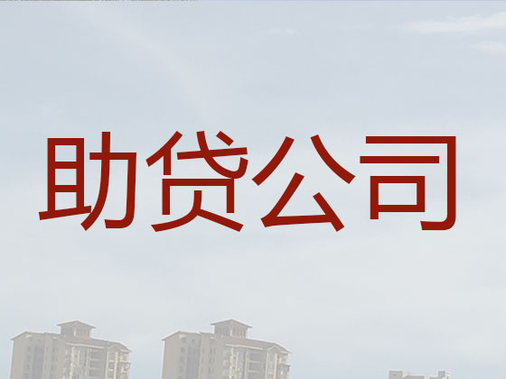 来宾信用贷款-正规贷款公司